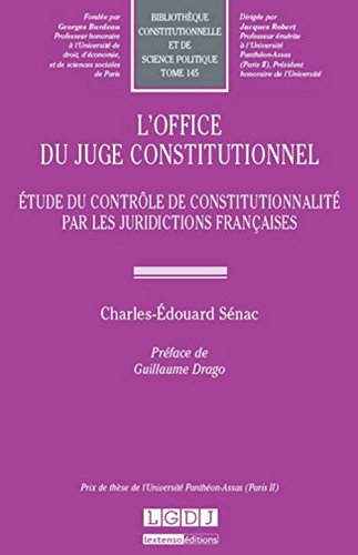 L' office du juge constitutionnel
