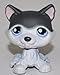 Husky #210 (White, Black Accents) - Littlest Pet Shop (Retired) Collector Toy - LPS Collectible Replacement Single Figure - Loose (OOP Out of Package & Print)