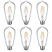 Antique LED Bulb, SHINE HAI 4W (40W Equivalent) ST64 Vintage Edison Light Bulb LED Lighting, 470 Lumen 2200K Warm White E26 Base, Pack of 6