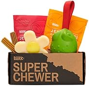 Super Chewer by BarkBox Monthly Subscription Box | Dog Box Care Package for Aggressive Chewers | Durable Dog T