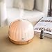 500mL Diffusers for Essential Oils, TaoTronics Diffuser with Remote Control Up to 20 ft, Wood Grain Base, Cool Mist Humidifier for Kids, Dual Mist Mode, 14 Colors Lighting & Waterless Shut-Off