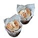ieasysexy Tulip Standard Cupcake Liners Wrappers,2