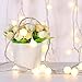 LED Christmas Lights, Wedding Lights Decorations, 33ft 100 LED Warm White Ball String Lights Plug in, Waterproof Decoration lights for Christmas/Patio/Garden/Party/Room/Wedding, with 8 Lighting Modes