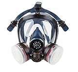 Induschoice Organic Vapor Full Face Respirator Mask Gas Mask Paint Pesticide Chemical Formaldehyde Anti Virus Respiratory Protection(Respirator +1 Pair LDY3 Cartridges)