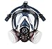 Induschoice Organic Vapor Full Face Respirator Mask Gas Mask Paint Pesticide Chemical Formaldehyde Anti Virus Respiratory Protection(Respirator +1 Pair LDY3 Cartridges)