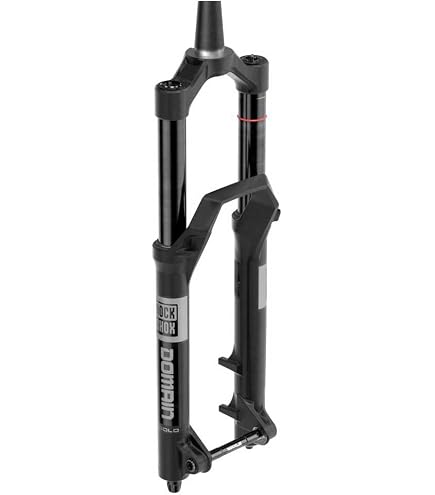 Amazon.com: RockShox Domain Gold Isolator RC3 29