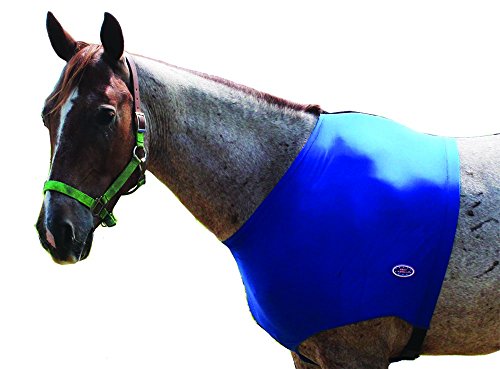 Derby Originals Lycra Horse Shoulder Guard, Blue, Medium