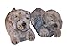 Happy Feet Slippers Gray Puppy Animal Slippers for Adults and Kids, Cozy and Comfortable, As Seen on Shark Tank (Medium)
