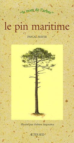 Le pin maritime by Pascal Mayer