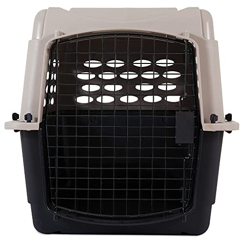 Petmate Vari Dog Kennel, Portable Dog Crate for Small & Medium Dogs