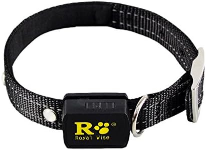 Christmas Lighted Jeweled Dog Collar Studded Padded Collars For Medium Dogs (M, Black)