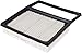 FRAM Extra Guard CA11482 Replacement Engine Air Filter for Select Ford and Lincoln Models, Provides Up to 12 Months or 12,000 Miles Filter Protection