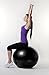 Platinum Health Unisex 2000lbs Static Strength Exercise/Yoga Fitness Stability Ball with Foot Pump (Black, 65 Centimeters)