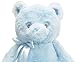 Linzy 9'' Blue Teddy Bear Stuffed Animal, Plush Toys, Baby Pink Color, 9'' Sitting High, 12'' Floppy, with All Embroidery Features, Safe for New Born Baby(13053-1)