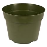 McConkey 6" Round Green Nursery Pot (Case of 26)