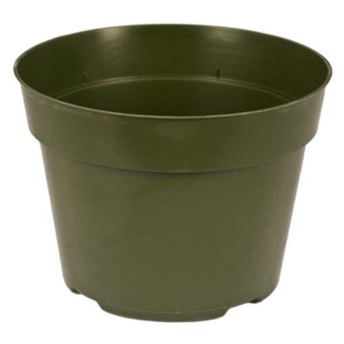 McConkey 6" Round Green Nursery Pot (Case of 26)