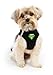 TSA Fast Pass Metal Free Leash Harness Designed for Small Pets who fit underseat of Airplane (M2)