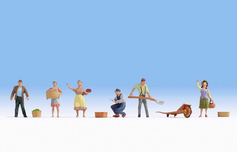 Noch Farmers, Coloured