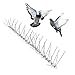 Bird-X Stainless Steel Bird Spikes, Covers 100 feet primary