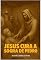 Livro Jesus Cura a Sogra de Pedro: "Série Quem é Jesus de Pastor Cidinei da Rosa"