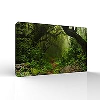 signwin-Canvas Wall Art-Sunshine in The Forest -Canvas Prints Home Artwork Decoration for Living Room,Bedroom - 12x18 inches
