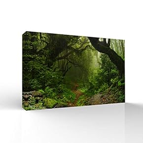 Canvas Wall Art-Sunshine in The Forest -Canvas Prints Home Artwork Decoration for Living Room,Bedroom - 12x18 inches