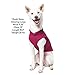 Gooby - Fleece Vest, Small Dog Pullover Fleece Jacket with Leash Ring, Fuchsia, Small