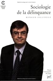 Sociologie de la délinquance