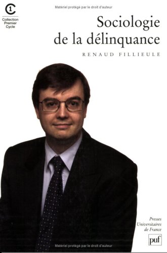 Sociologie de la délinquance
