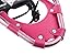 ALPS Adult All Terrian Snowshoes + Pair Anti-Shock Adjustable Snowshoeing Pole + Free Carrying Tote Bag (21 inch)