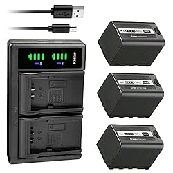 Kastar 3-Pack Battery and LTD2 USB Charger