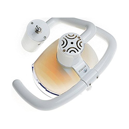 Science Lab Education Support Dental Halogen Lamps, Daylight Oral Lamps, Dental Equipment, Dental Chair Accessories, Dental Chair Oral Examination Lights 22mm