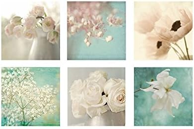 Set of Six Flower Prints Photographs, Poppy, Rose, Tulip, Magnolia