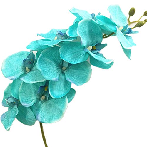 jiumengya 5pcs Teal Blue Color Phalaenopsis Butterfly Moth