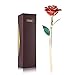 ZJchao 24K Red Rose Gifts for Her, Love Dipped Gold Real Rose Flower Preserved Eternal Christmas Anniversary Valentine's Day Present for Women/Wife/Girlfriend (Red)