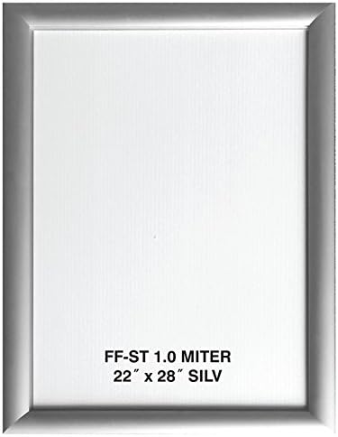22x28 Silver Aluminum Snap Frame 1.0" Profile, Wall Mounted