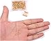 Shapenty Mini Metal Clothing Accessories Trimming Fastening Clip Button Tool Tiny Sewing Craft Safety Pins, 18x5mm, 160PCS (Gold)
