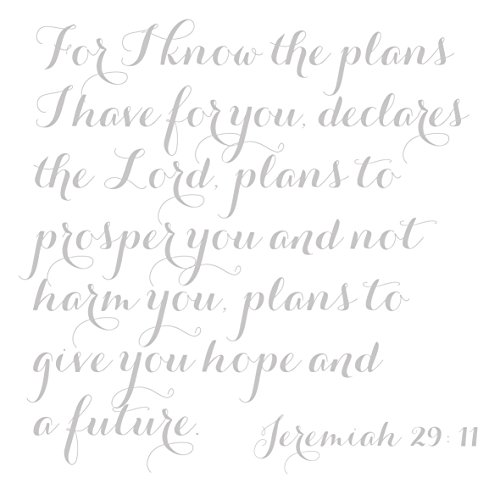 Luxuriously Soft Scripture Throw Blanket | Jeremiah 29:11 | 50x60 inches (Light Gray)