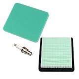 Panari Air Filter Spark Plug for Honda GC135 GCV135 GC160 GCV160 Gc190 Gcv190 GX100