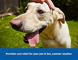 pet cooling mat canada