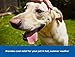 The Green Pet Shop Chillz Gel Mat, Extra Large - Pressure-Activated Cooling Pad for Pets Over 50 lbs - Non-Toxic, No Water or Refrigeration Needed - Ideal for Home, Travel & Crates