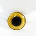 Yellow Owl Eye in 25mm 1 Inch for Taxidermy Sculptures or Jewelry Making Pendants Crafts Art Doll Wire Wrapping DIY Flatback Cabochon
