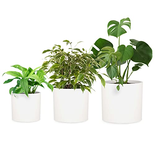 Fox&Fern Übertopf Set S/M/L - Blumentöpfe Gross inkl. Wasserabfluss - Blumentopf hoch - Übertöpfe für Zimmerpflanzen - Blumentopf 30cm Durchmesser - P