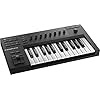 Native Instruments Komplete Kontrol A25, 25 Tasten schwarz