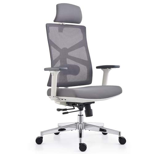 HOLLUDLE Ergonomic Office Chair with Adjustable Backrest, Depth Adjustable Seat, 4D Armrests, Lumbar Support and 2D Headrest, 360° Swivel, Modern Design, White