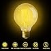 LAKES Vintage Edison Bulb, 60W Retro Incandescent Light Bulb E26 Medium Screw Base, G25 / G80 Classic Amber Glass Incandescent Filament Lamp,360 Degrees Beam Angle, Pack of 4