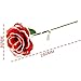 POLEND Love Forever Long Stem Dipped 24k Gold Foil Trim Rose,with The Clear Crystal Stand,Best Gift for Valentine's Day Gifts,Mother's Day, Anniversary, Birthday Gift,Christmas(Red)