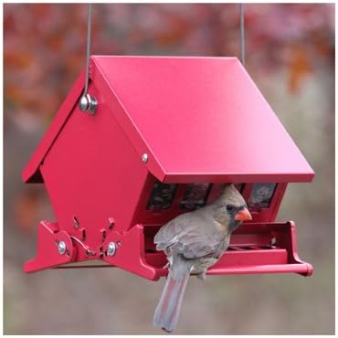 Amazon Com Audubon 7458 4 Lb Capacity Squirrel Proof Bird Feeder