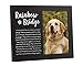 Pearhead Rainbow Bridge Pet Keepsake Picture Frame, Wooden Photo Frame for Pet Owners, Memorial Frame and Inspirational Pet Loss Gift with Poem, 3.5x5 Inch Photo, Black