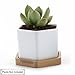 T4U Small White Succulent Planter Pots with Bamboo Tray Hexagon Set of 2, Geometric Ceramic Cactus Plant Holder, Succulent Plant Gifts for Gardener Women Coworker, Home Office Table Desk Decoration